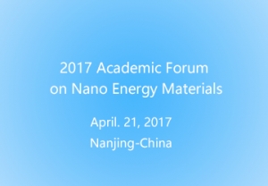 2017 Academic Forum on Nano Energy Materials
