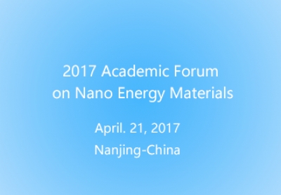 2017 Academic Forum on Nano Energy Materials